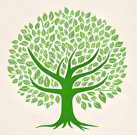 Vinthu vyakukhumbikwa vya Everwood